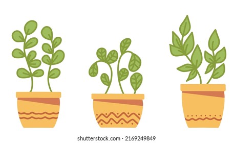 Montaje de sencillas plantas vectoriales y flores en macetas. Ilustración plana del vector