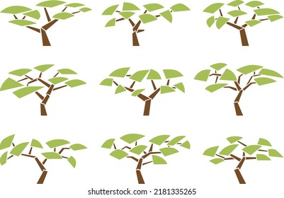 Set of simple vector images of acacia trees with bare trunk in flat design.