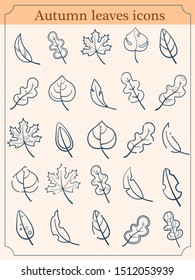 Set of simple vector leaf icons. Stylized autumn leaves. Minimalist leaf logo.
