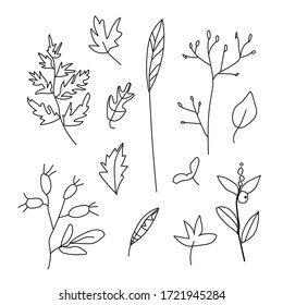 Set simple vector leaves, branches and berries.Clip art botanical autumn illustration with black lines on white isolated background doodle.Design for coloring, card, web, poster, logo, print.
