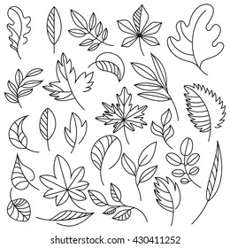 Set of simple vector leaves. Line icons.