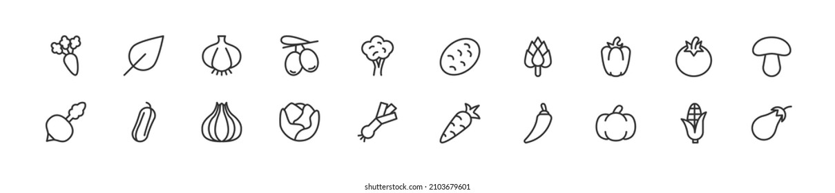 Set of simple vegetable line icons. Outline stroke object. Linear signs pack. Perfect for web apps and mobile.