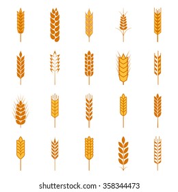 Set of simple wheat ears icons