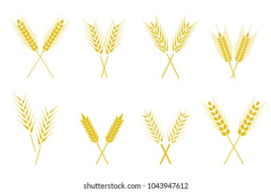 Set of simple wheats ears icons and wheat design elements for beer, organic wheats local farm fresh food, bakery themed wheat design, grain, beer elements, wheat simple. Wheat ears or rice icons set.