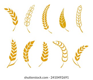 Set of simple wheats ears icons. Wheat logo design elements for beer, organic fresh food corn farm,  grain element, wheat simple pattern. Vector illustration.