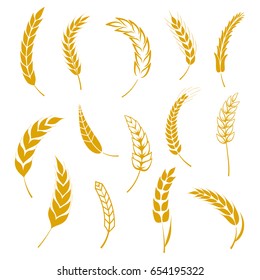 Set of simple wheats ears icons and grain design elements for beer, organic wheats local farm fresh food, bakery themed wheat design, grain, beer elements. Vector illustration eps10