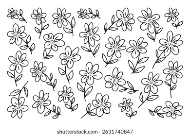 Set of simple wild flowers, hand drawn in form of simple outline sketch with black marker on white rectangular horizontal background. Vector daisies for fabric design, school children's album cover.