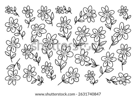 Set of simple wild flowers, hand drawn in form of simple outline sketch with black marker on white rectangular horizontal background. Vector daisies for fabric design, school children's album cover.