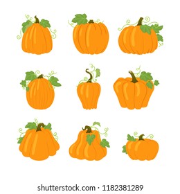 Set of simple yellow pumpkins with leaves and vines. Halloween, harvest vector icons. Isolated on white background. Different shapes. Autumn holidays.