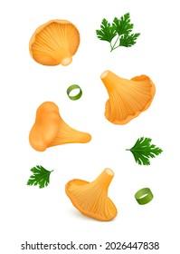 Set of single chanterelle mushrooms from different sides with leaves of parsley and chopped scallions (two green onion slices) hang in the air. Isolated on white. Realistic vector illustration