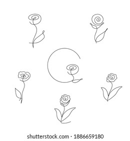 A set of single continuous rose element lines. Vector design of logo, icon, symbol, element in a simple minimalist style.