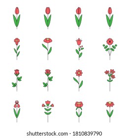 Set of single flat color line flowers: red rose, tulip, iris, camomile, orchid, peony. Collection of flower linear icon in simple minimal design.