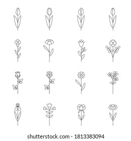 Set of single flat thin line flowers: rose, tulip, iris, chamomile, orchid, peony. Collection of flower linear icon in simple minimal design.
