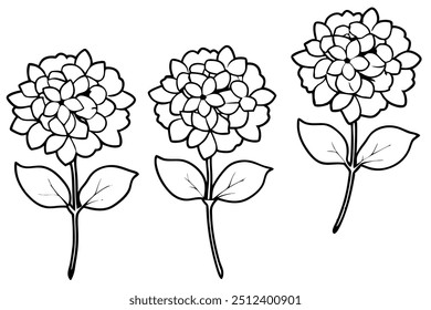 Set and Single flower Vector art