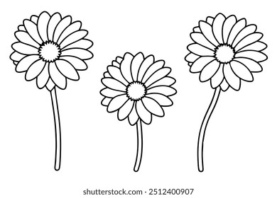 Set and Single flower Vector art