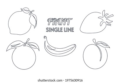 Set of single line drawn fruits. One line continuous drawing in a minimal style. Abstract contour drawing. For logo, print, health concepts. Isolated vector illustration. 