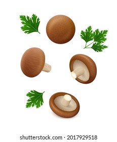 Set of single shiitake mushrooms from different sides with green leaves of parsley hang in the air. Isolated on white background. Realistic vector illustration.