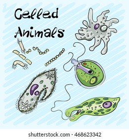 Set of single-celled animals hand-drawn on a blue background. Vector illustration