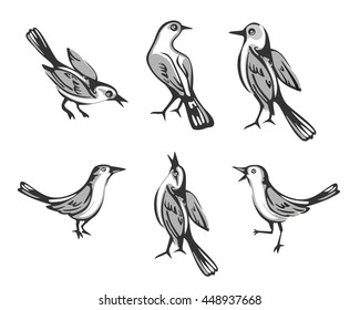 Set sitting bird. Isolated on white background. Vector flat illustration.