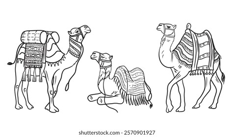 Set of sitting camel with traditional tissue seat for riding in black isolated on white. Hand drawn vector sketch illustration in doodle engraved vintage line art style. Egypt desert, travel