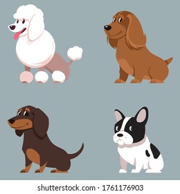 Set of sitting dogs. Poodle, Cocker Spaniel, Dachshund and French Bulldog in cartoon style.