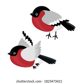 A set of sitting and flying the bullfinch isolated on white background. Sample of poster, party holiday invitation, festive banner, card. Vector cartoon close-up illustration. eps