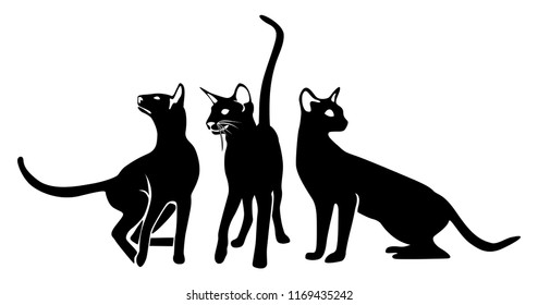 Set of sitting and playing cats. Wall art design. Silhouettes on white background, perfect for tattoo and logo. Die cut. Template. Stencil.