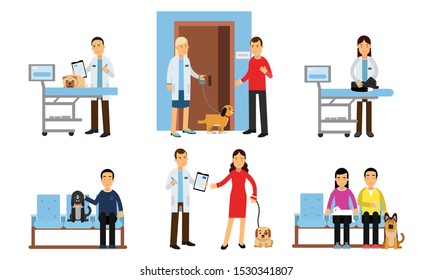 Set the situation in the veterinary clinic. Vector illustration.
