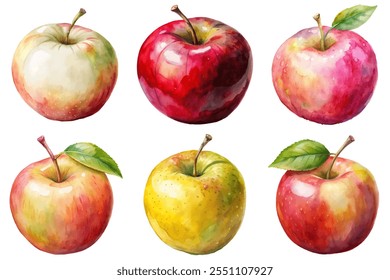 A set of six apples, each with a different color, are painted on a white background. The apples are arranged in a row, with the first apple on the left and the last one on the right