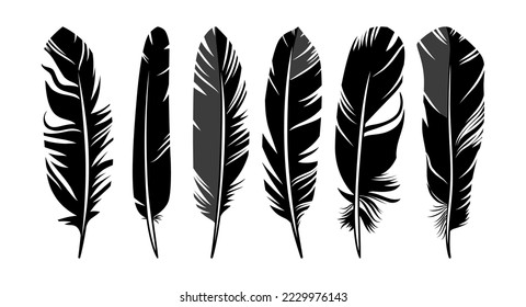 Set of six bird feathers design