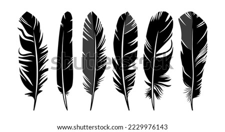 Set of six bird feathers design