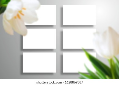 Set of six blank cards and large tulip flowers in the foreground. Realistic template for spring, wedding or branding design