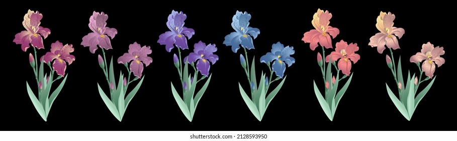 Set of six bouguets on black background.Colorful iris flowers. Pastel colors Vector illustration.