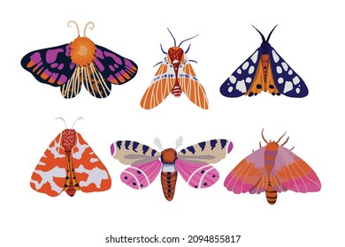 set of six brightly colored moths. Vector illustration