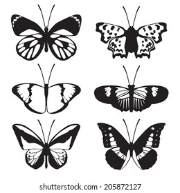 set of six butterflies