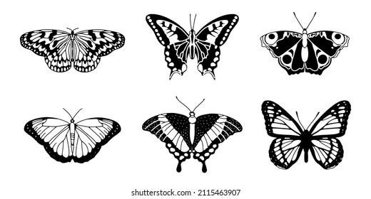 Set with six butterflies isolated items. Insects with different shaped wings. Butterfly stencil, moth wings. Decor for Wedding invitation or social media post. Vector illustration. 