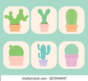 set of six cactus icons vector illustration design