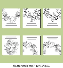 Set of six card templates. Black roses on white background. Space for your text. 