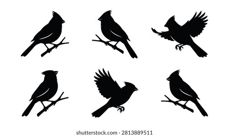 A set of six cardinal bird in various poses silhouette vector illustration on a white background