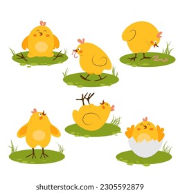 A set of six chickens in different poses on a green lawn, vector graphics isolated. Children's illustration