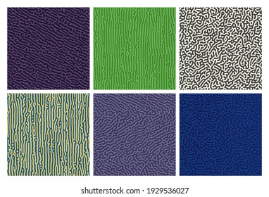 Set of six colorful turing reaction gradient backgrounds. Abstract diffusion pattern with chaotic shapes. Vector illustration.