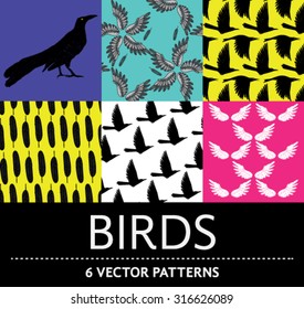 set of six colorful vector pattern inspired in birds, flight, wings and feathers