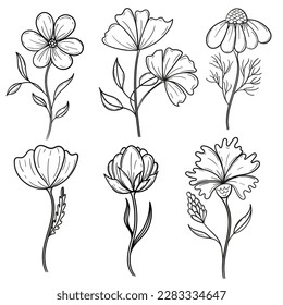 Un conjunto de seis colores con una línea negra de estilo plano. Colores botánicos. Objetos florales aislados.  