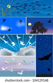 set of six compositions with birds flight