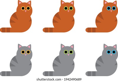 conjunto de seis lindos gatos 