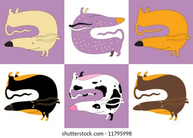 Set of six dachshunds of different colors
