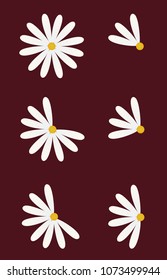 Set of six daisy as pie diagrams
