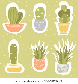 Set of six different cartoon cacti in colorful pots with white  stroke