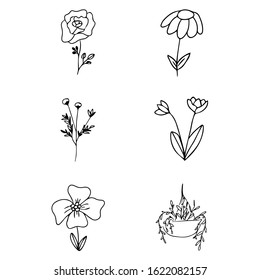 Set of six different hand drawn flowers, handmade doodles isolated on white backgound, can be used for many purposes such as: decorating cards, website EPS Vector