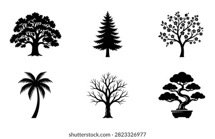 Set of six different tree silhouettes including oak pine blossom palm tree dead tree and bonsai in black vector style.